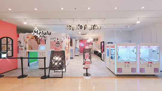 DolphinXPrimo画像1